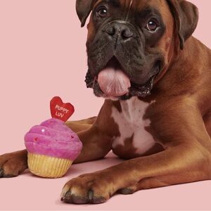 BARK PUPPY LUV CUPCKAKE DOG PLUSH